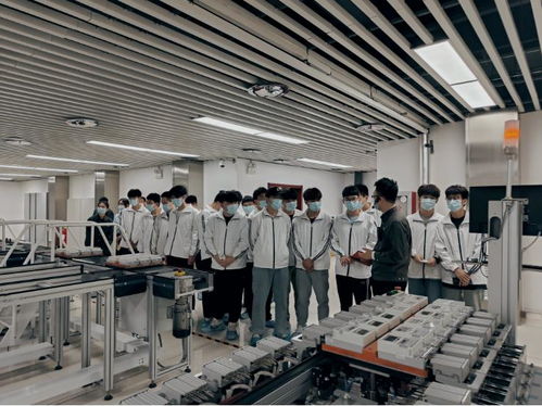 河南網絡技術服務蓬勃發展，助力數字強省建設邁入新階段